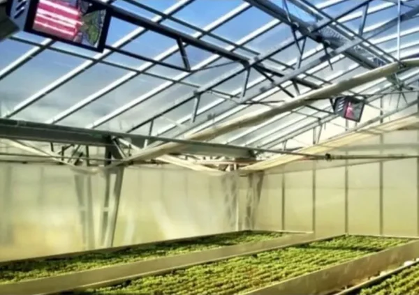 Varma WR2000:20 2kW Heater in large greenhouse